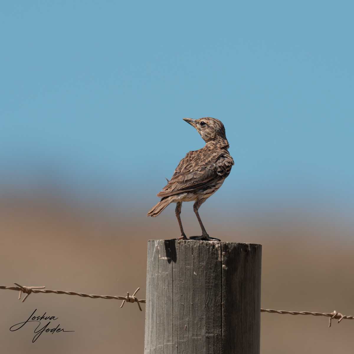 SAF9216Westerncape9th-DxO_DeepPRIME-3social-media