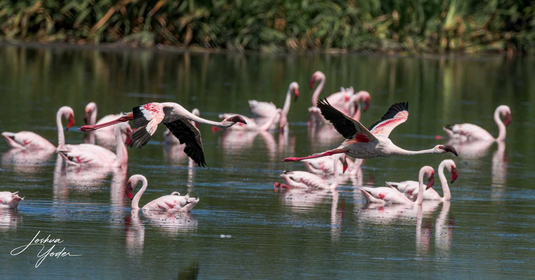 SAF6777Capetown7th-DxO_DeepPRIME-3social-media