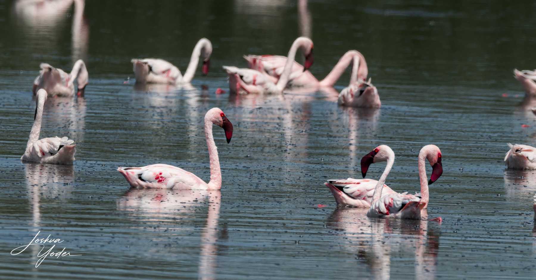 SAF6828Capetown7th-DxO_DeepPRIME-3social-media