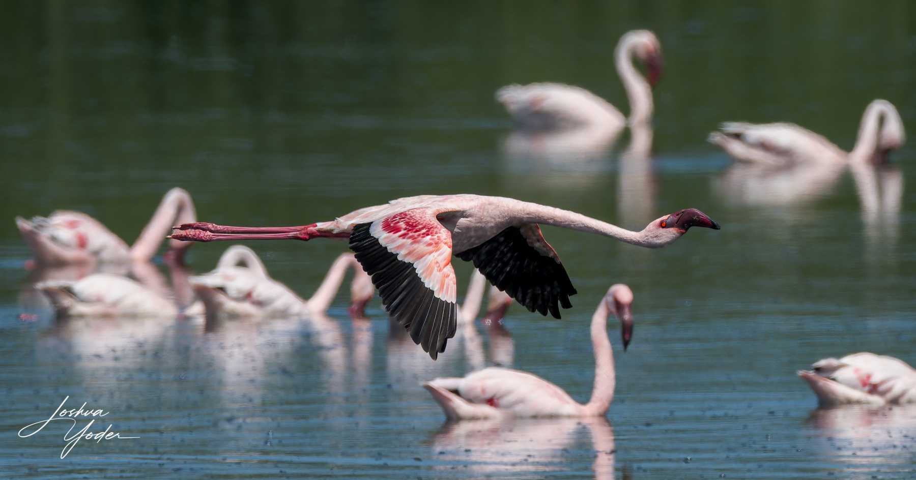 SAF6870Capetown7th-DxO_DeepPRIME-3-Editsocial-media