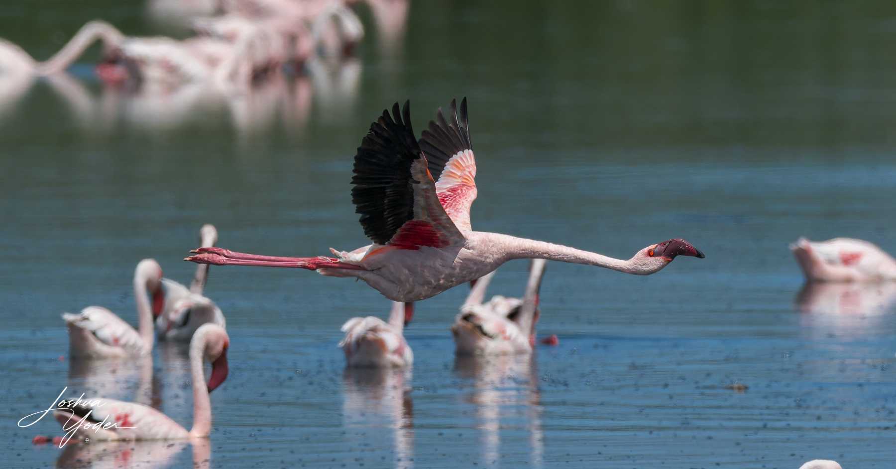 SAF6877Capetown7th-DxO_DeepPRIME-3-Editsocial-media