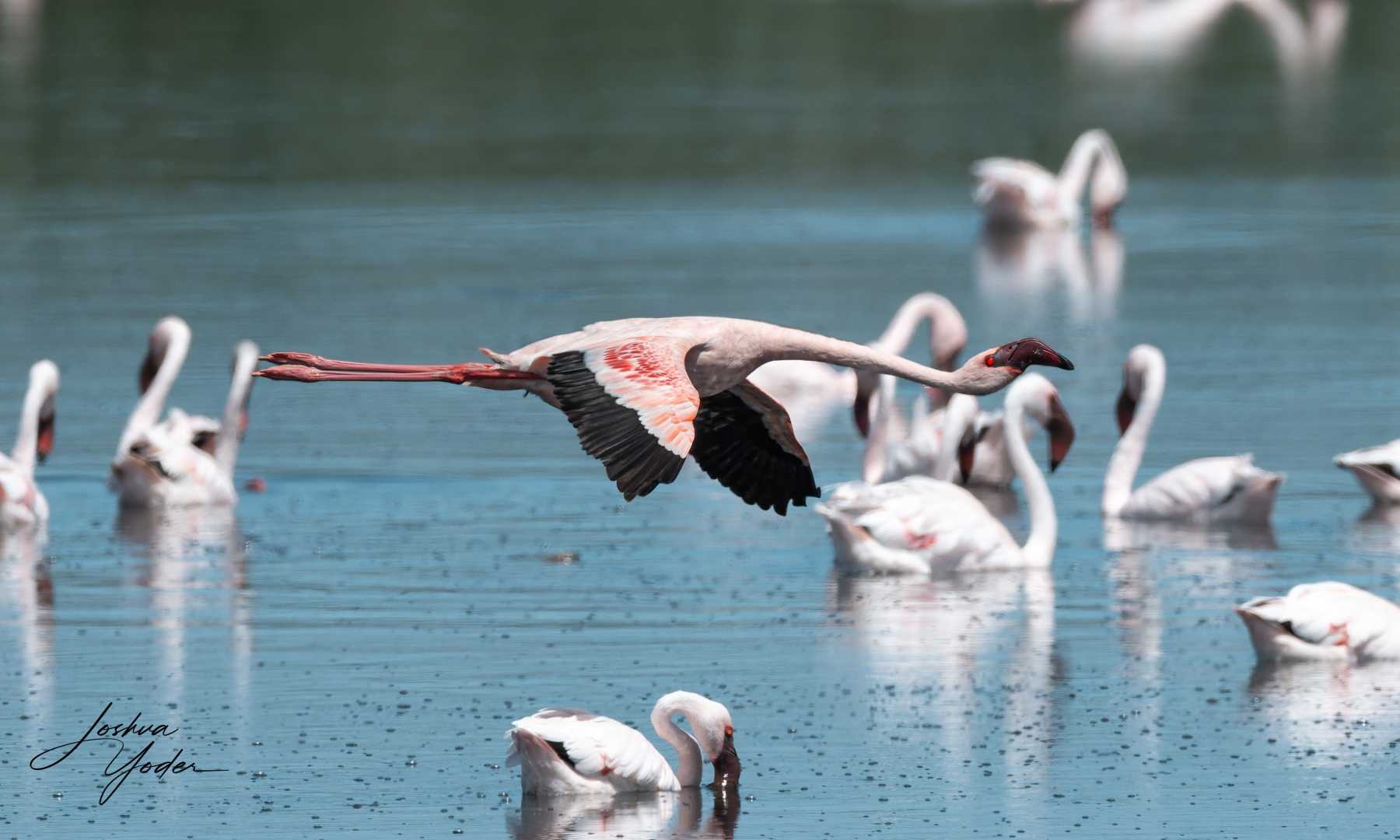 SAF6878Capetown7th-DxO_DeepPRIME-3social-media