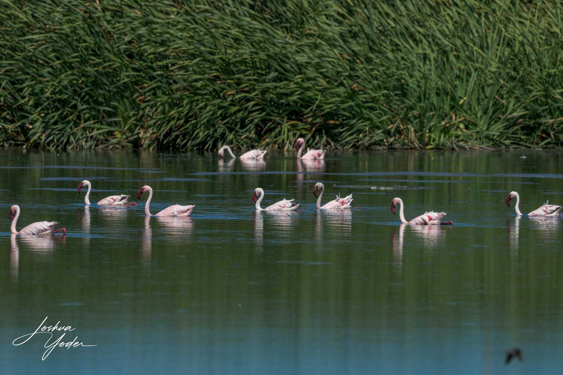 SAF6992Capetown7th-DxO_DeepPRIME-3social-media