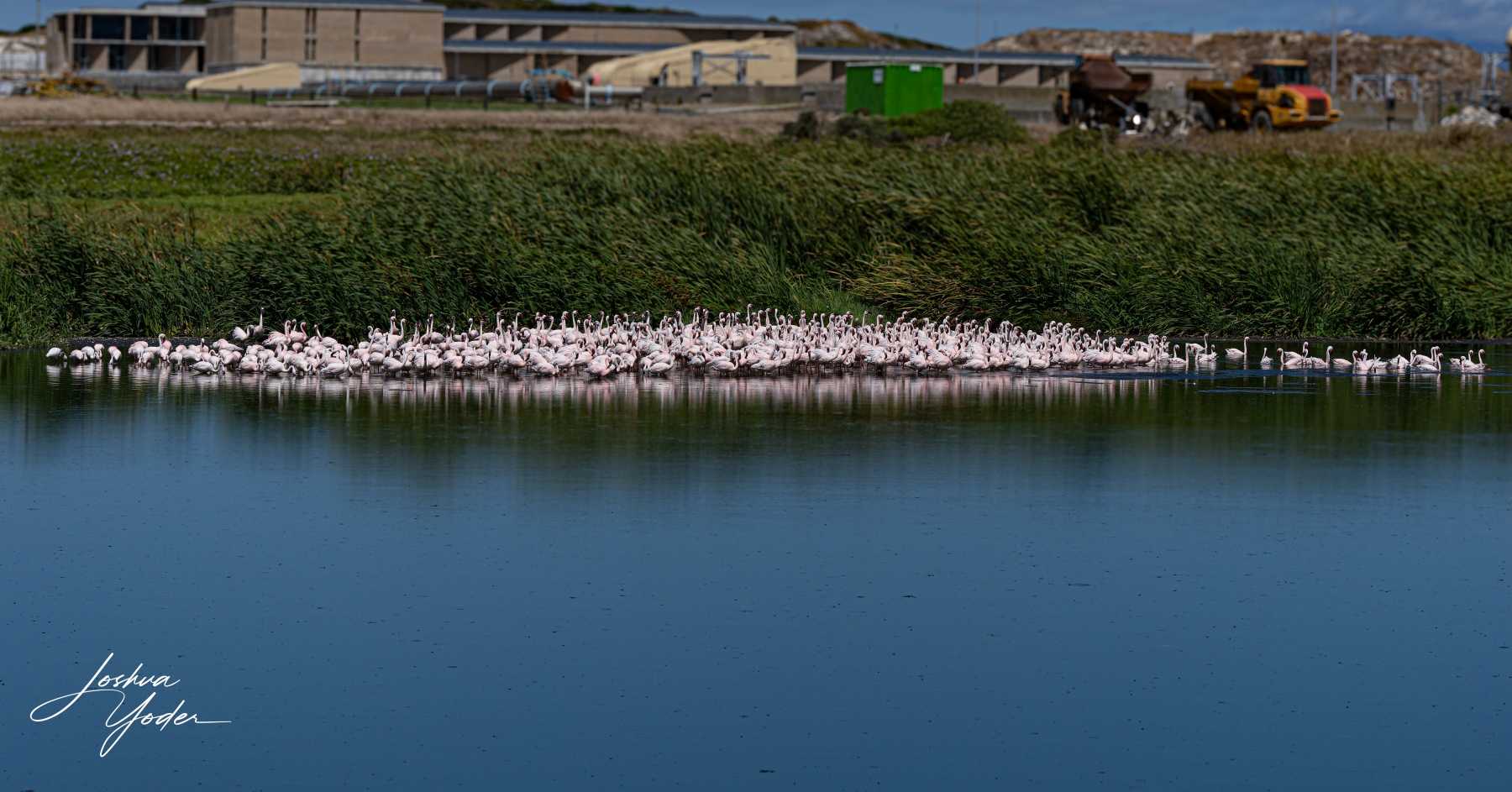 STA0128Capetown7th-DxO_DeepPRIME-3social-media