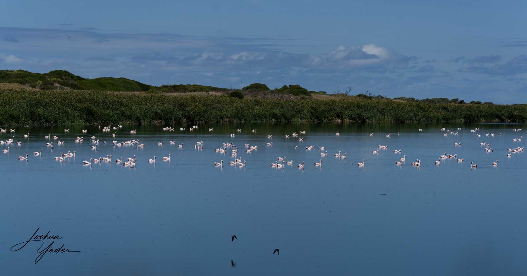 STA0139Capetown7th-DxO_DeepPRIME-3social-media