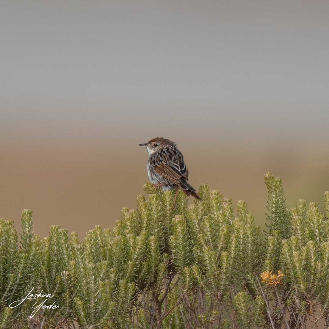 SAF8050Westerncape9thsocial-media