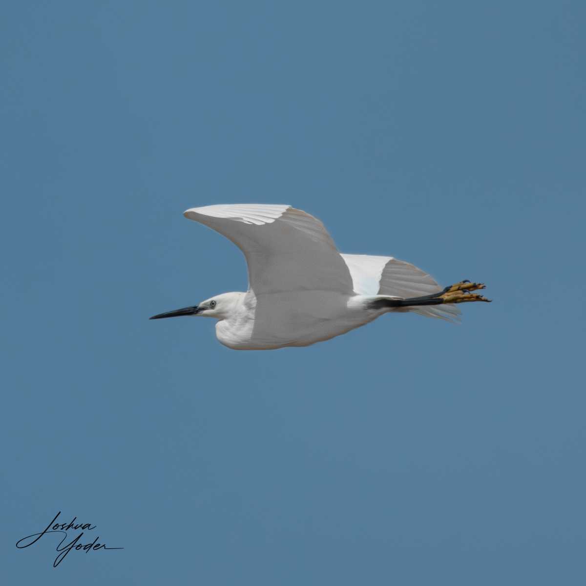 SAF7830Westerncape11thsocial-media