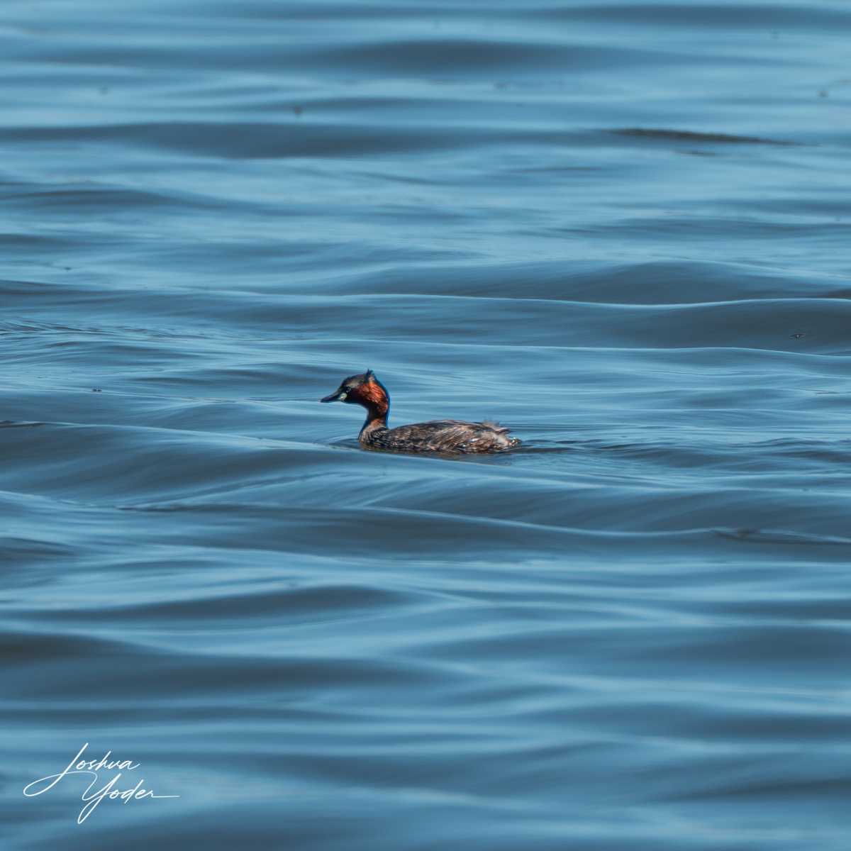 SAF3961Capetown7thsocial-media