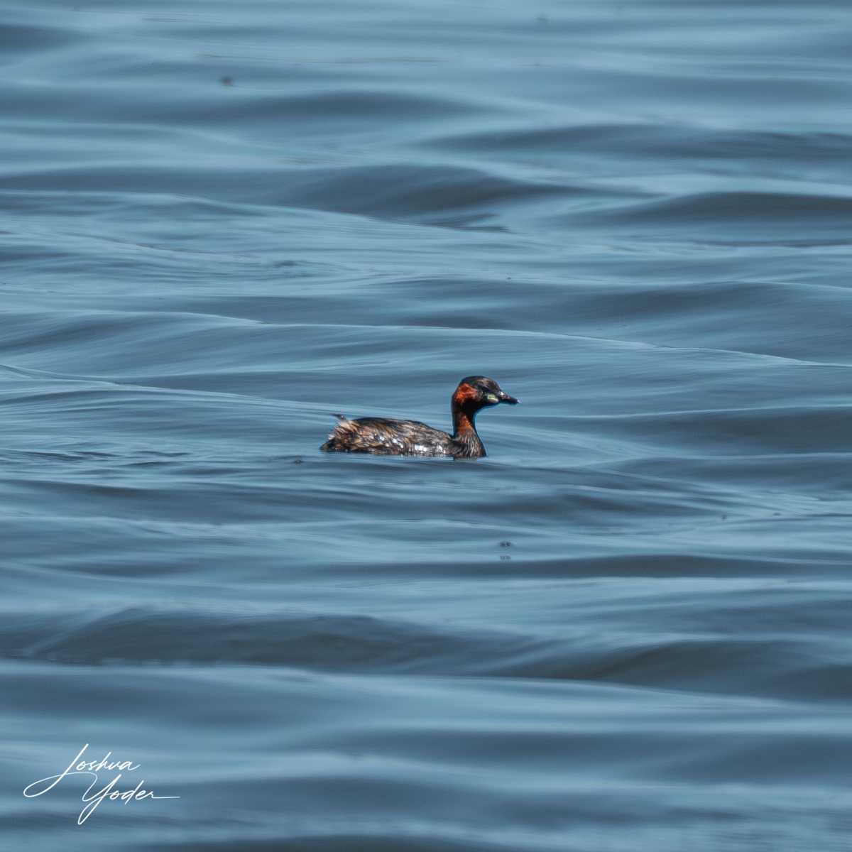 SAF3962Capetown7thsocial-media