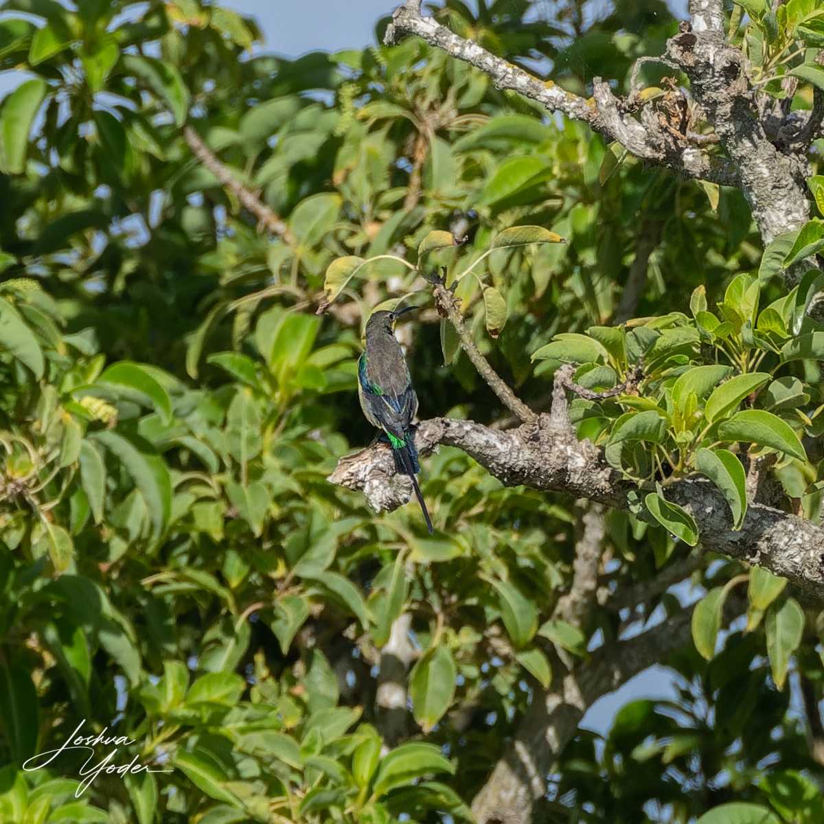 STA1908-DxO_DeepPRIME-3social-media