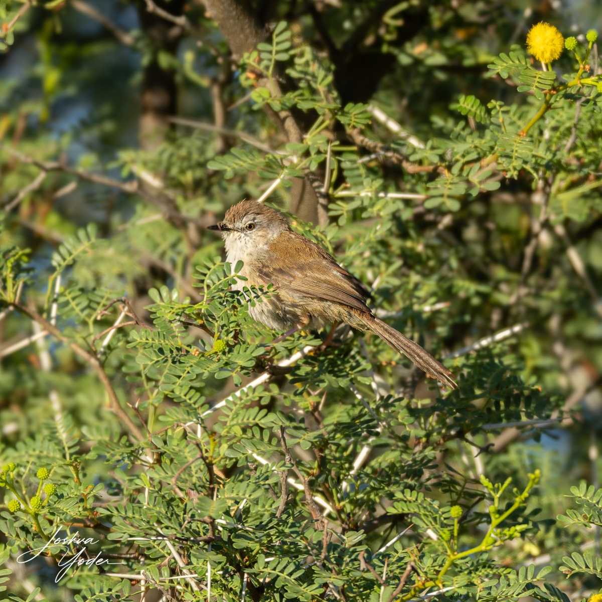 SAF1218Westerncape10th-DxO_DeepPRIME-3-Editsocial-media