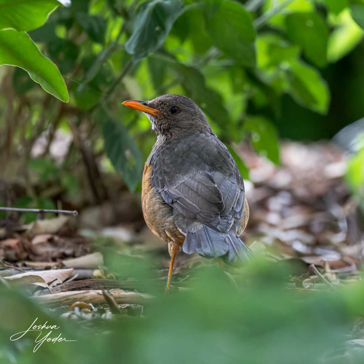 SAF3222Capetown7th-DxO_DeepPRIME-3-Editsocial-media