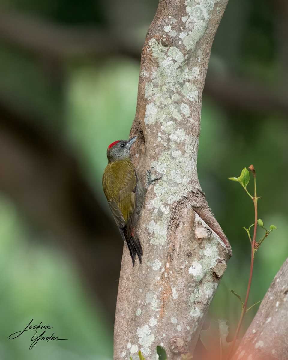 SAF2752Capetown7th-Editsocial-media