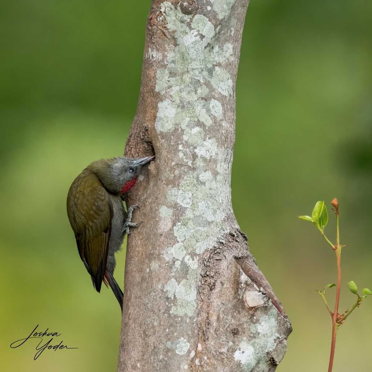 SAF2808Capetown7th-Editsocial-media