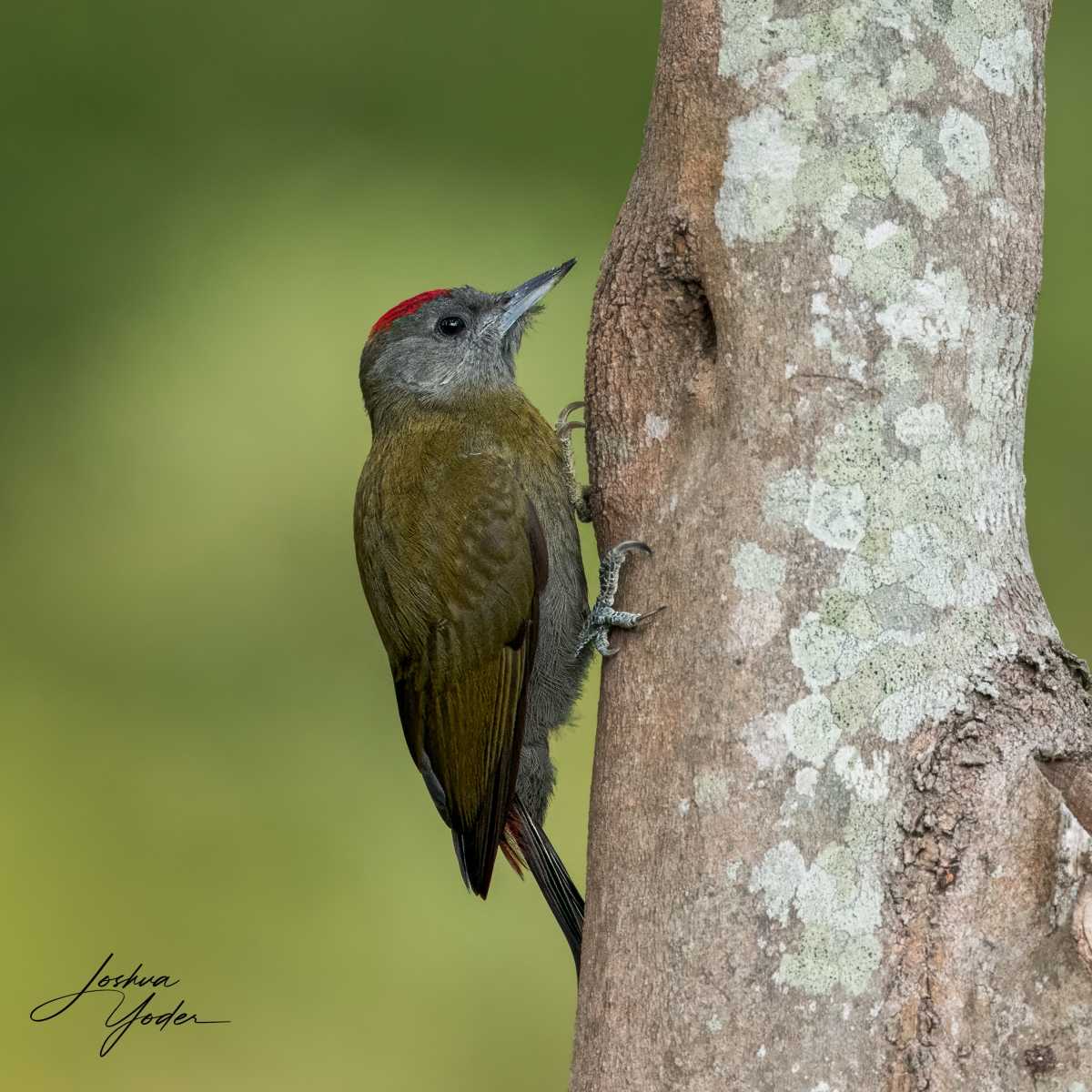 SAF2809Capetown7th-Editsocial-media