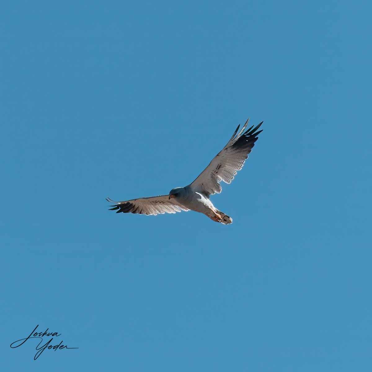 SAF2168Westerncape10th-DxO_DeepPRIME-3-Editsocial-media