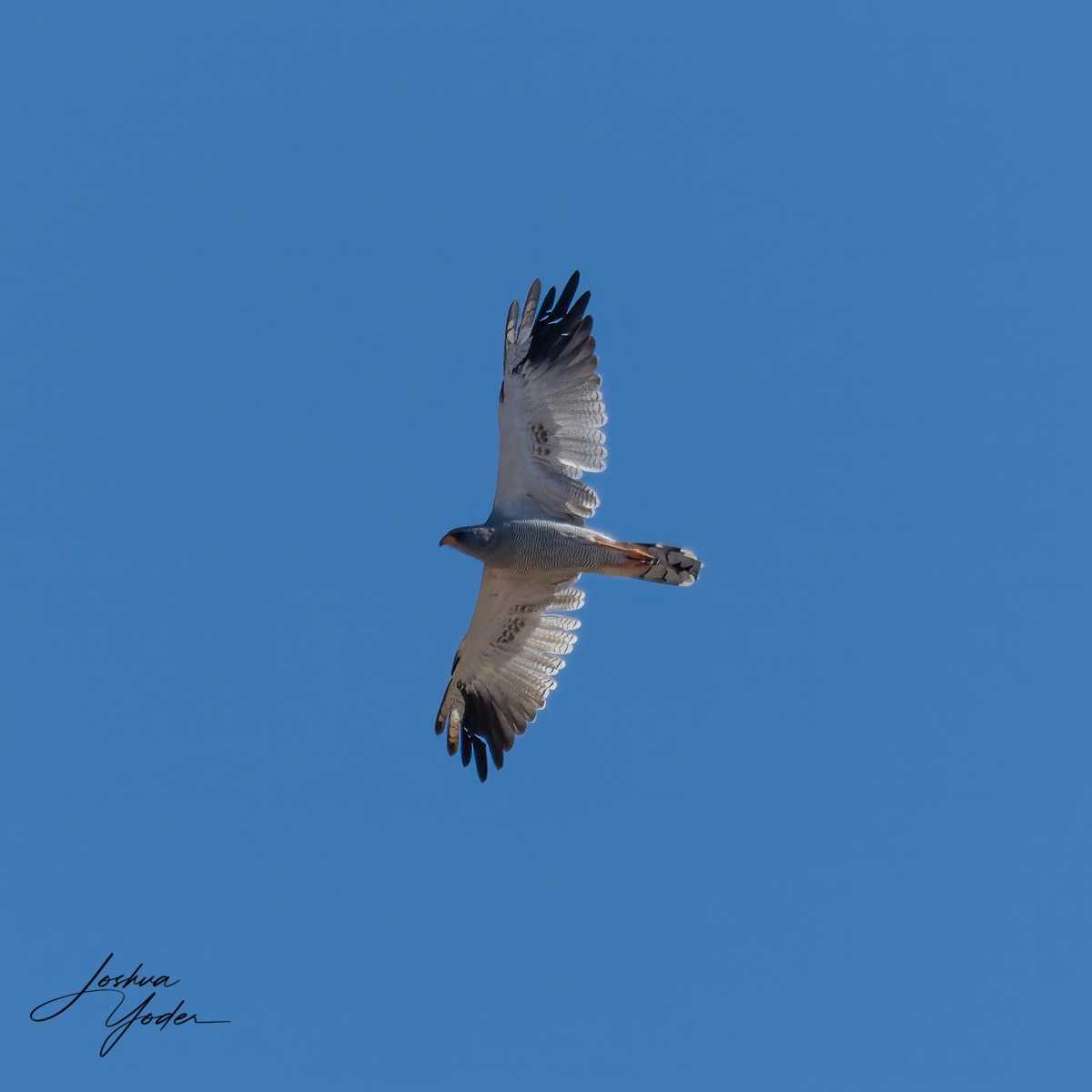 SAF2180Westerncape10th-DxO_DeepPRIME-3-Editsocial-media