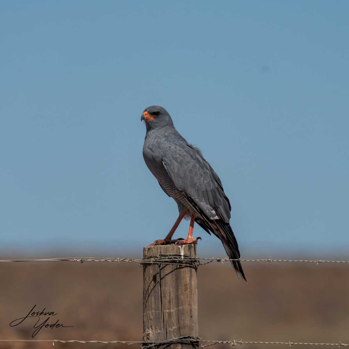 SAF4279Westerncape10th-DxO_DeepPRIME-3-Editsocial-media