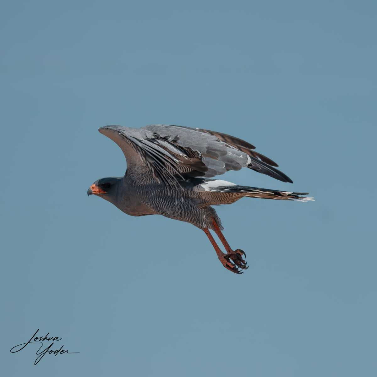 SAF4297Westerncape10th-DxO_DeepPRIME-3-Edit-Editsocial-media