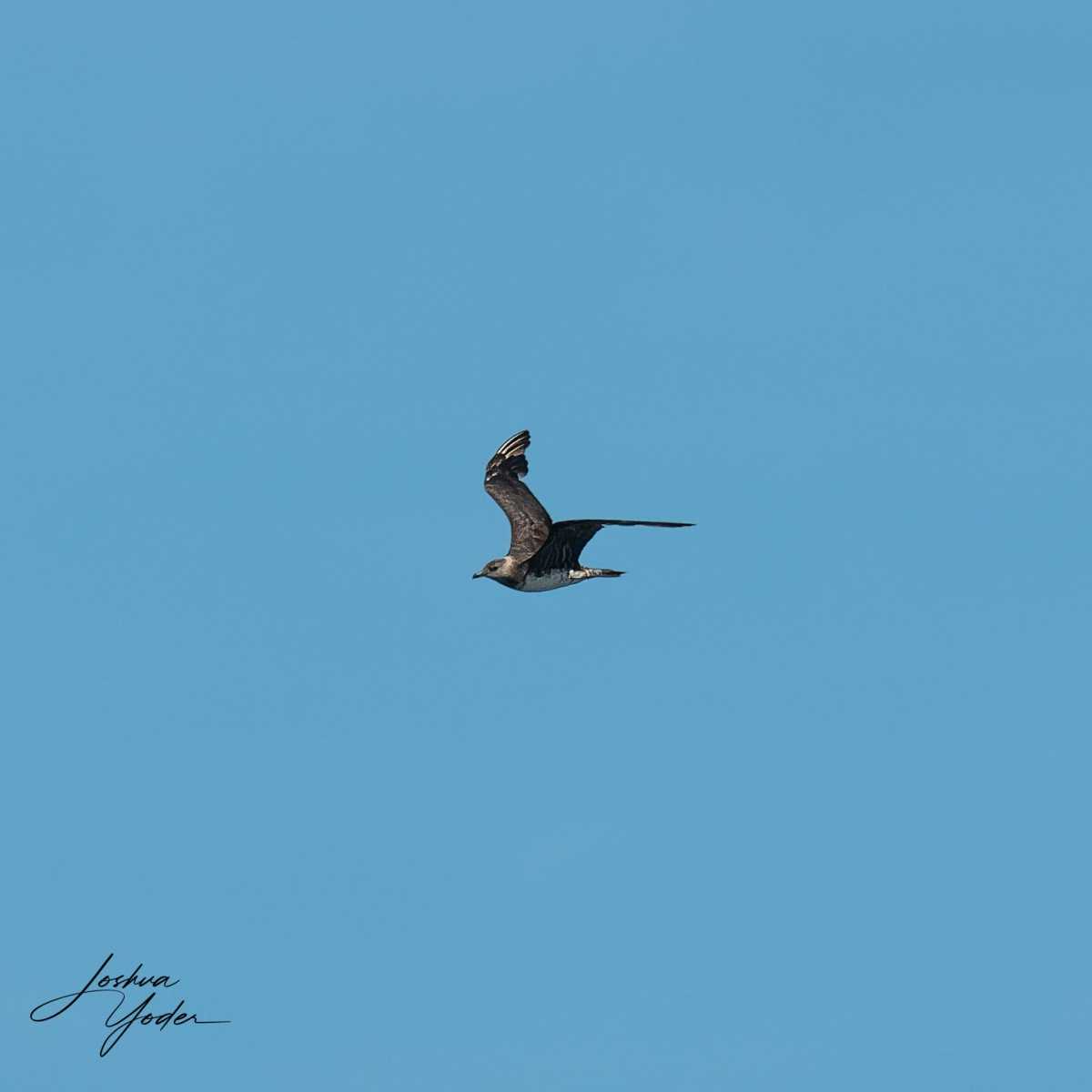 SAF2961-ARW_DxO_DeepPRIMEsocial-media