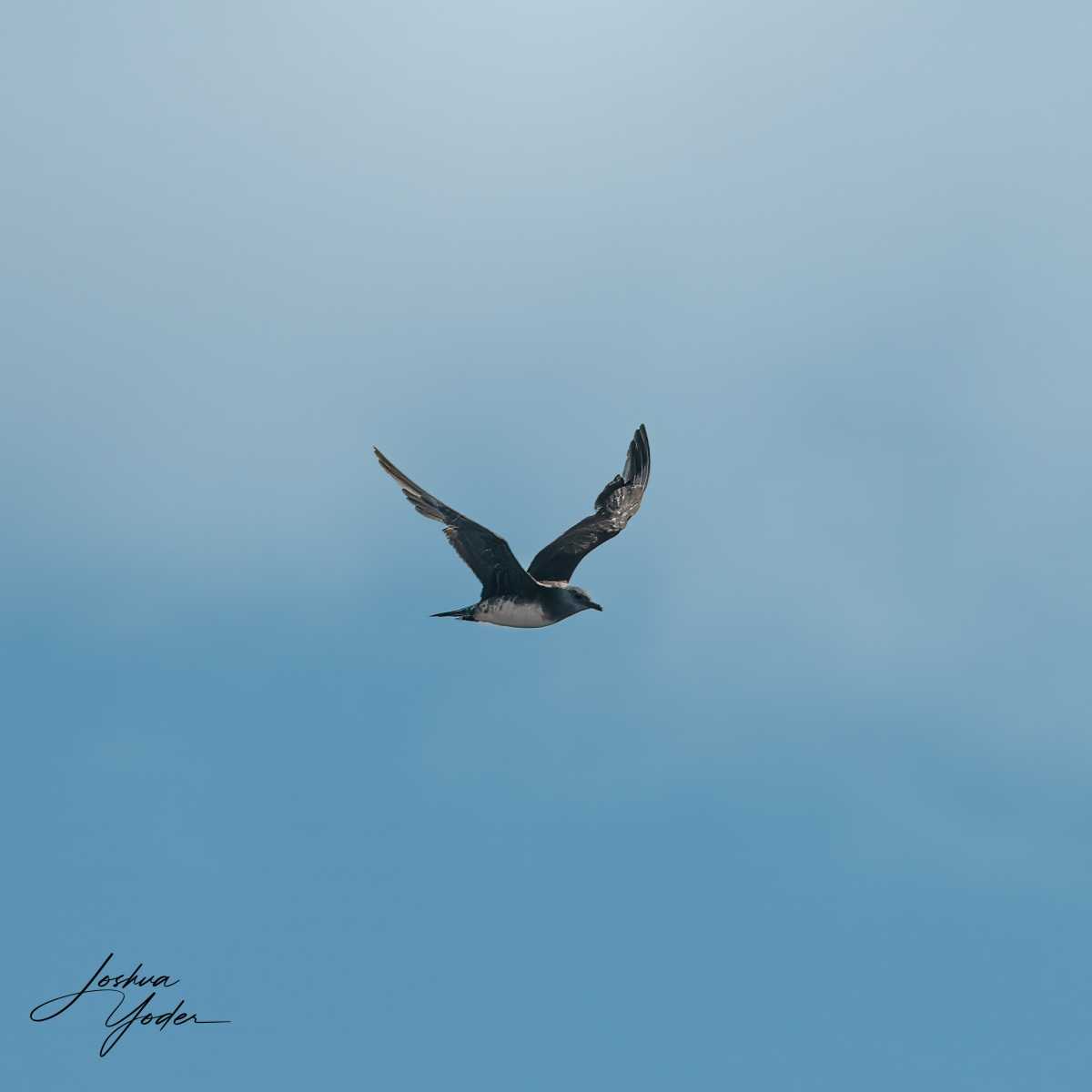 SAF3015-ARW_DxO_DeepPRIME-Editsocial-media