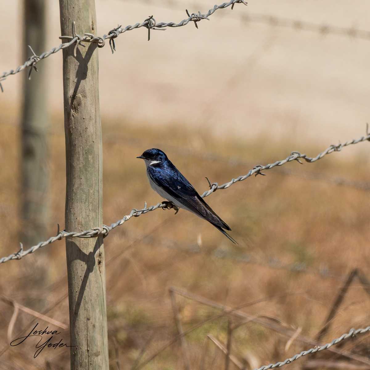 SAF9908Westerncape9th-DxO_DeepPRIME-3social-media