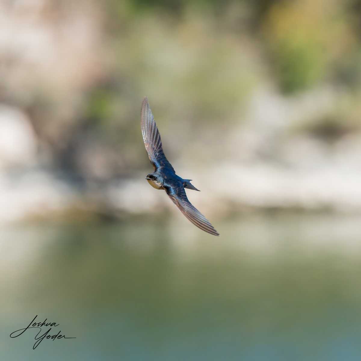 STA1889Westerncape9th-DxO_DeepPRIME-3-Editsocial-media