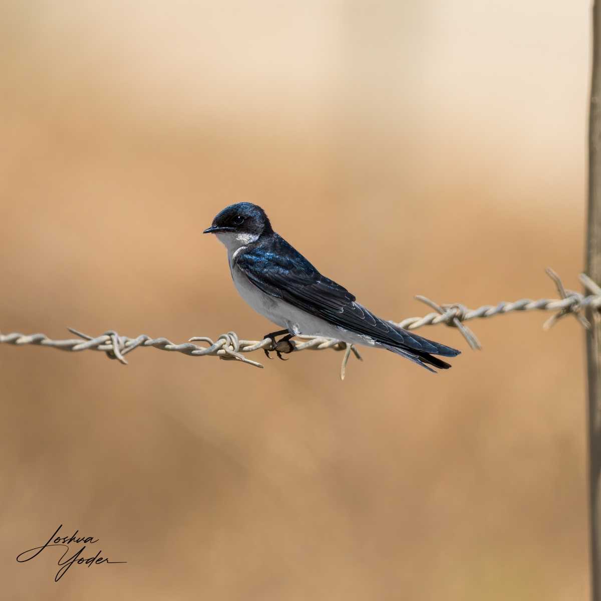 STA2138Westerncape9th-DxO_DeepPRIME-3-Editsocial-media