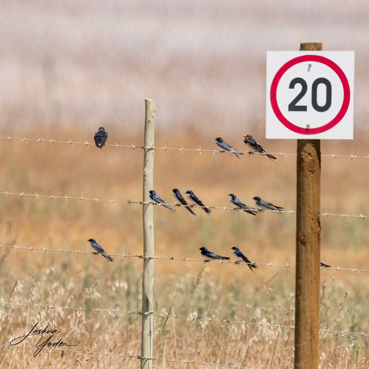 STA2315Westerncape9th-DxO_DeepPRIME-3-Editsocial-media