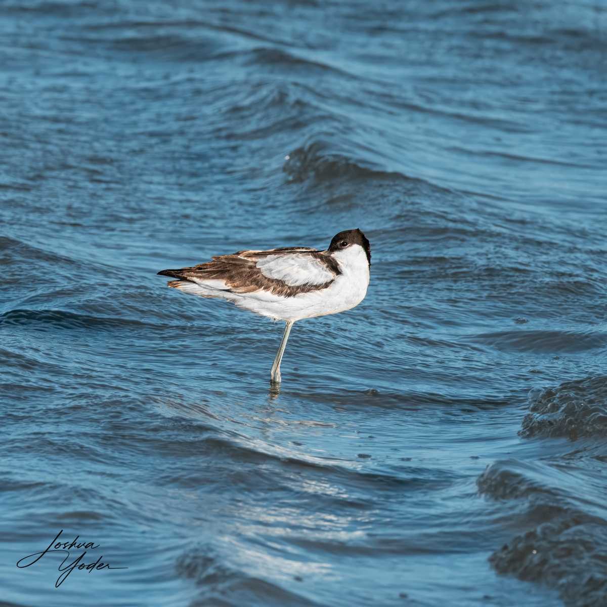 SAF5540Westerncape10th-Editsocial-media