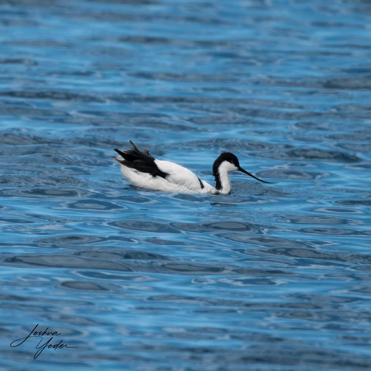 SAF5955Capetown7th-Editsocial-media