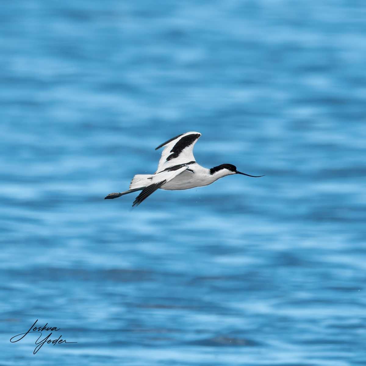 SAF5979Capetown7th-Editsocial-media