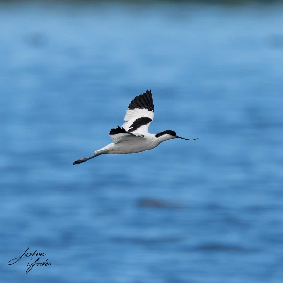 SAF5988Capetown7th-Edit-2social-media