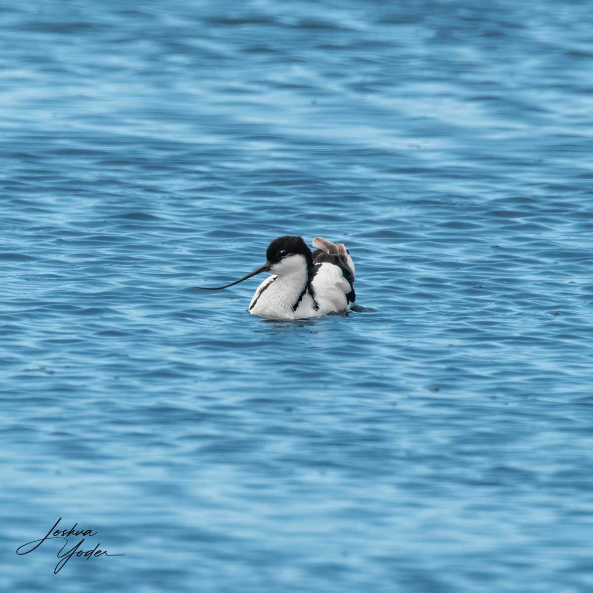 SAF6056Capetown7th-Editsocial-media