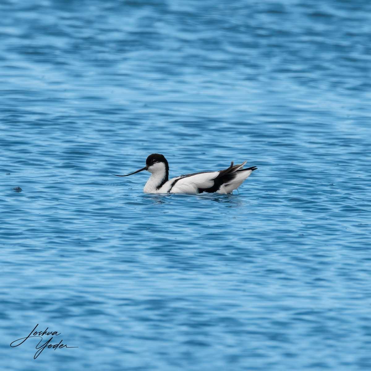 SAF6063Capetown7th-Editsocial-media