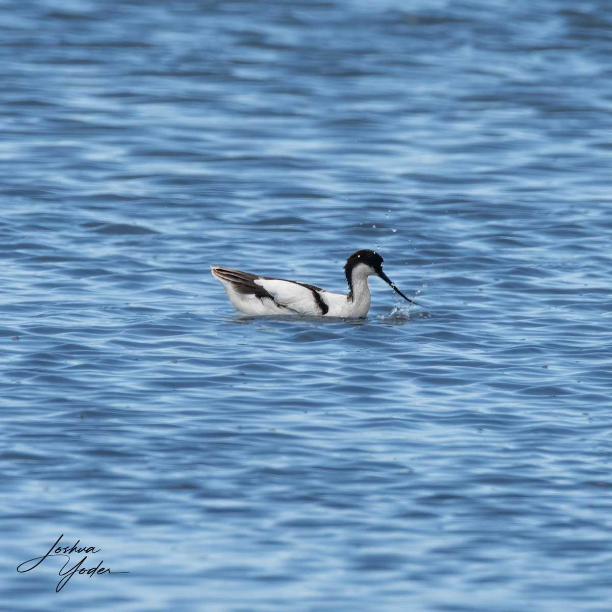 SAF6078Capetown7th-Editsocial-media